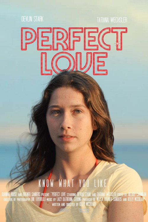 Affiche de Perfect Love