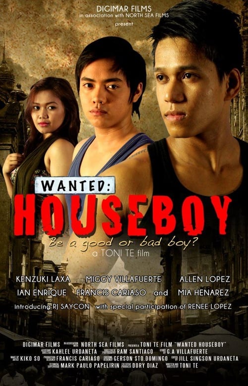 Wanted: Houseboy (2013)