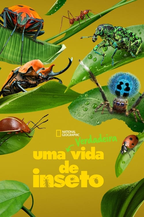 Poster da série Uma Verdadeira Vida de Inseto