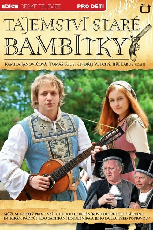 Tajemství staré bambitky (2011) poster