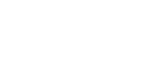 Agente Kim: Reativado - Logo 5