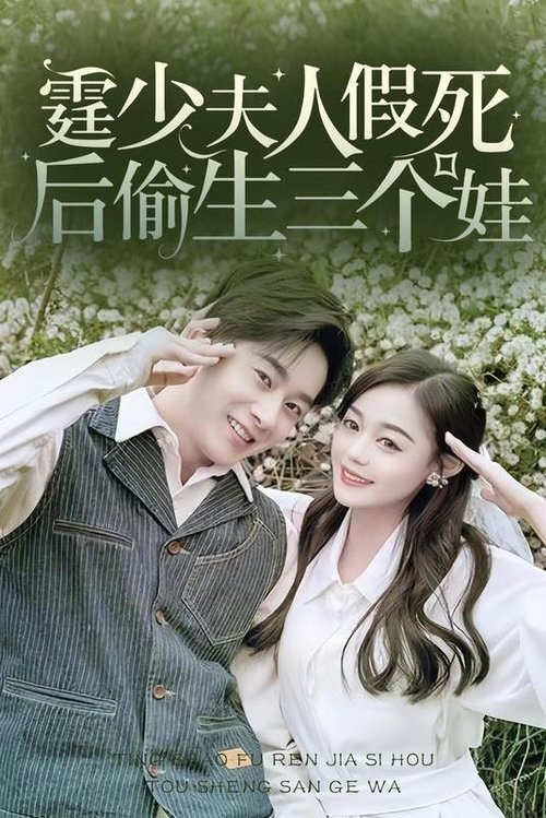 霆少,夫人假死后偷生三个娃