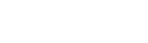 The Way of the Cheetah