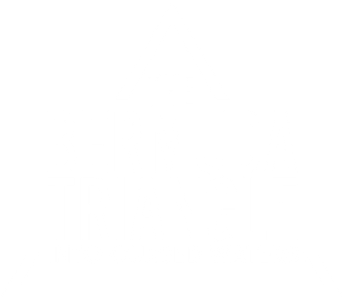 The Bermuda Triangle: Into Cursed Waters