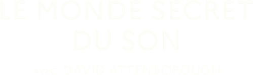 Le Monde secret du son avec David Attenborough