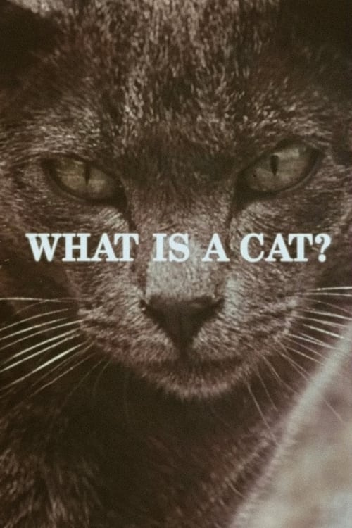 What Is a Cat? (1972) poster