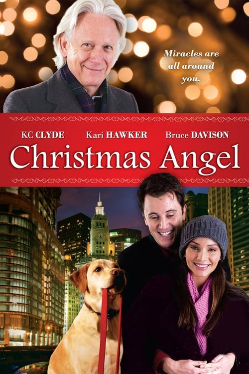 Christmas Angel 2009
