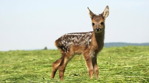 Image de l'épisode 6