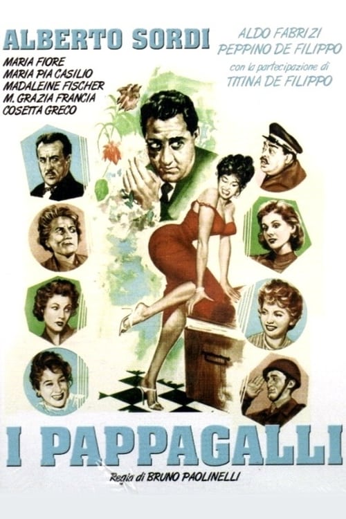 I pappagalli (1955) poster