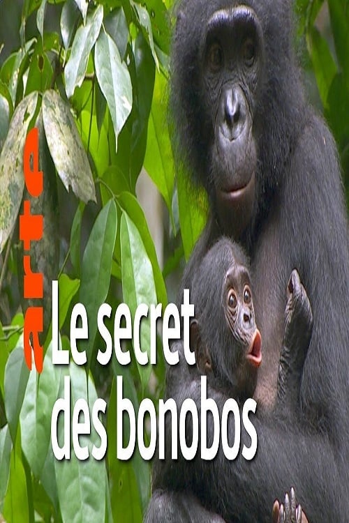 La vie cachée des bonobos (2019) poster