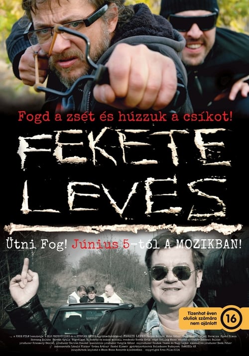 Poster Fekete leves 2014