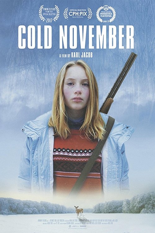 Cold November poster