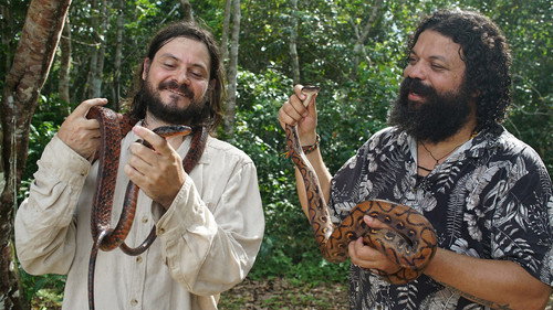 Rato, Vini and Snakes