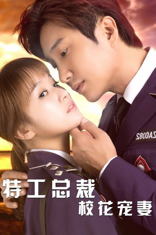 特工总裁校花宠妻 poster
