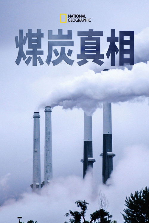 From the Ashes poster