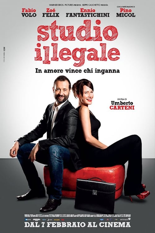 Studio illegale (2013) poster