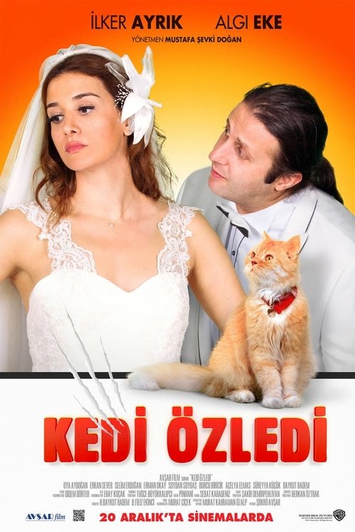 Kedi Özledi (2013)