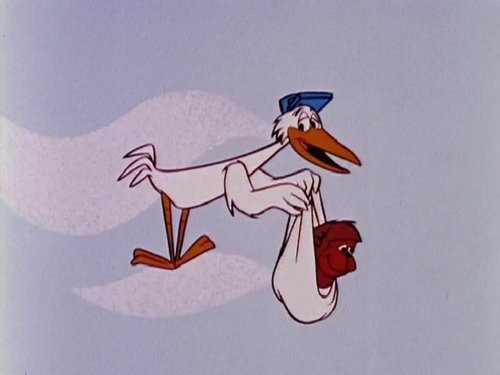 Image de l'épisode 26