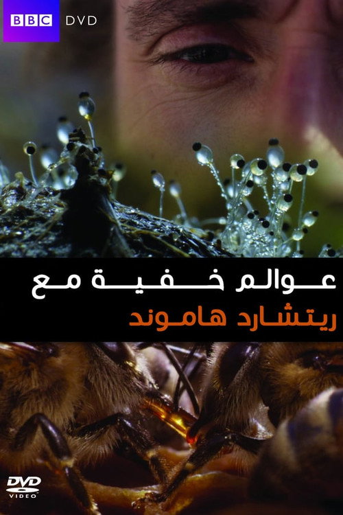 الموسم 1