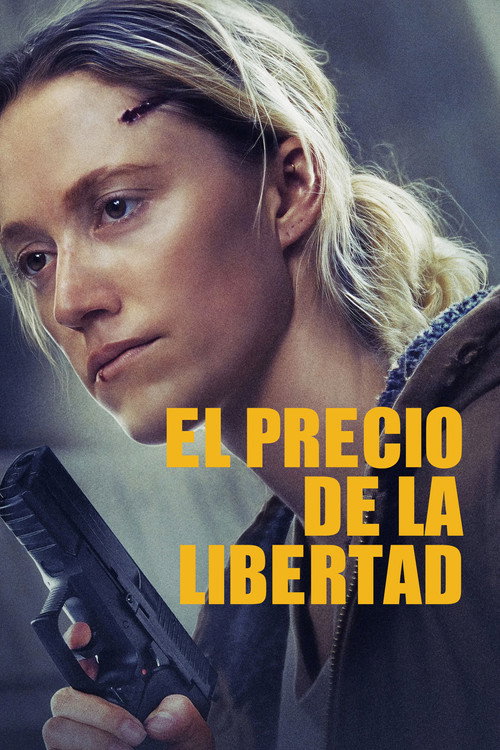 In Cold Light poster