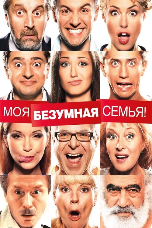 Моя безумная семья (2012) poster