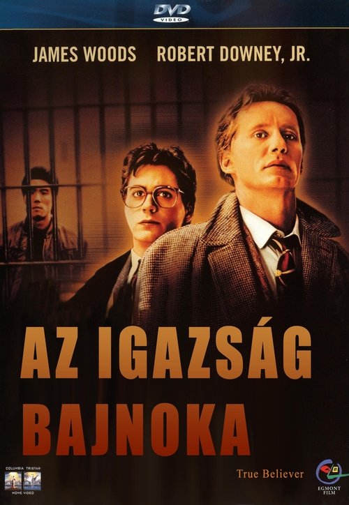 Az igazság bajnoka movie poster player