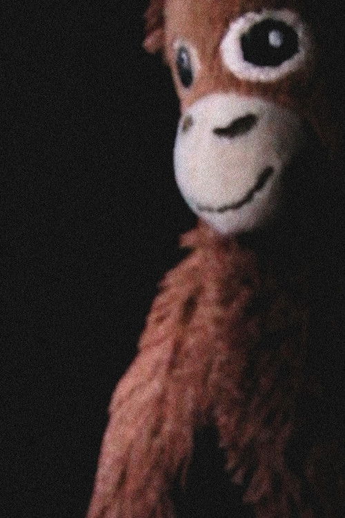 The Jay Monkey Project