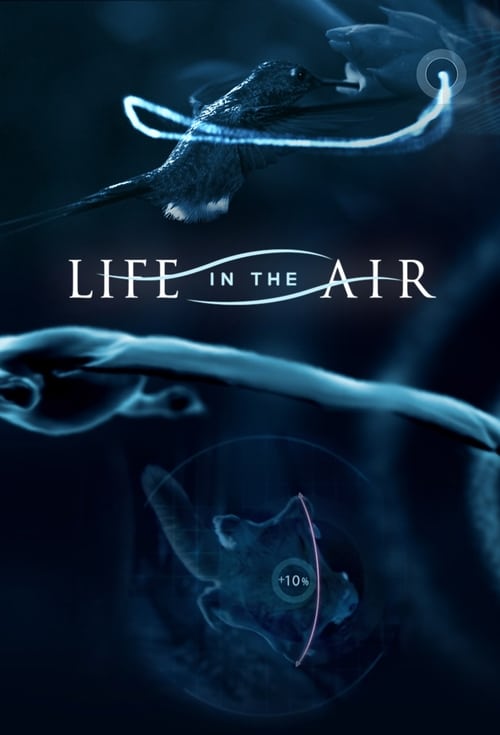Life in the Air 2016