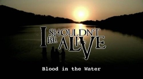 Épisode 5