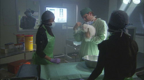 Poster della serie M.I. High