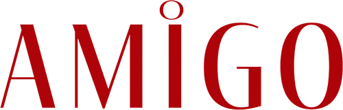 O Amigo - Logo 6