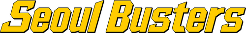 Seoul Busters