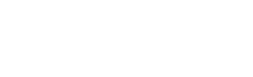 Visitor Q
