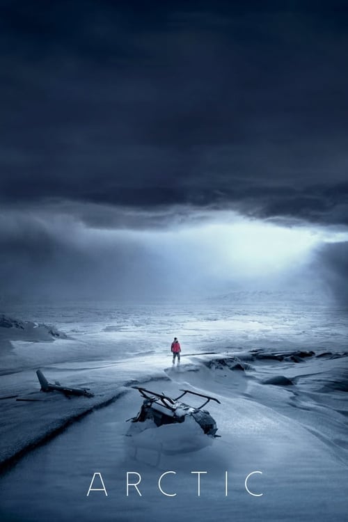 A man stranded in the Arctic is finally about to receive his long awaited rescue. However, after a tragic accident, his opportunity is lost and he must then decide whether to remain in the relative safety of his camp or embark on a deadly trek through the unknown for potential salvation.