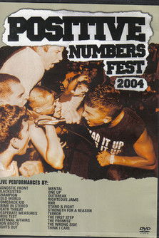 Positive Numbers Fest 2004