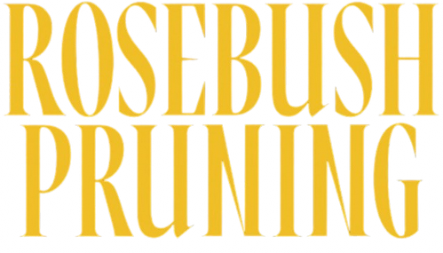 Rosebush Pruning