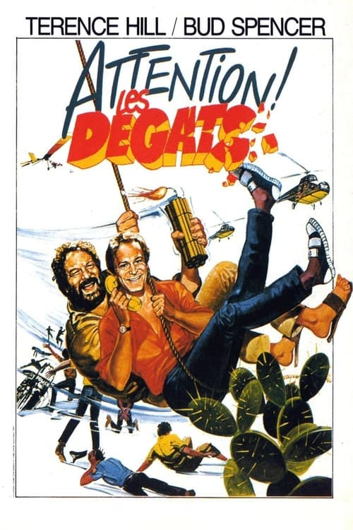 Attention les dégâts (1984)