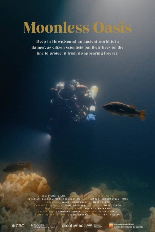 Moonless Oasis (2020) poster