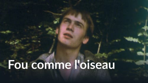 Fou comme l'oiseau