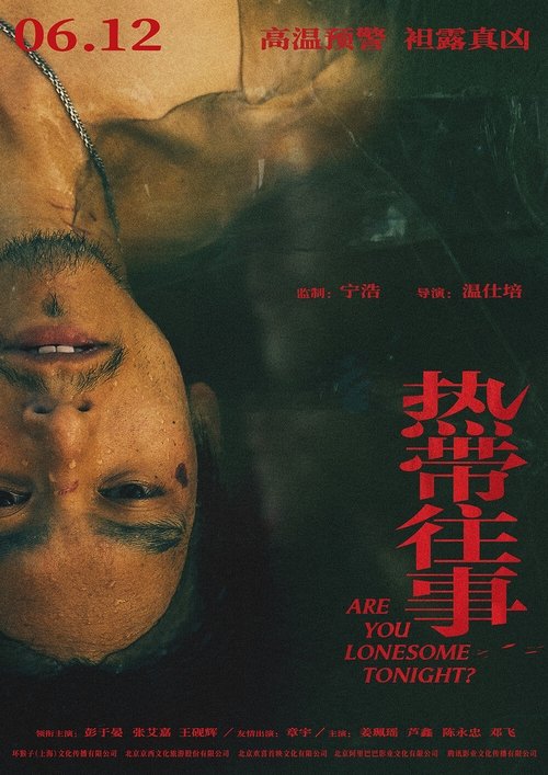 热带往事 movie poster player