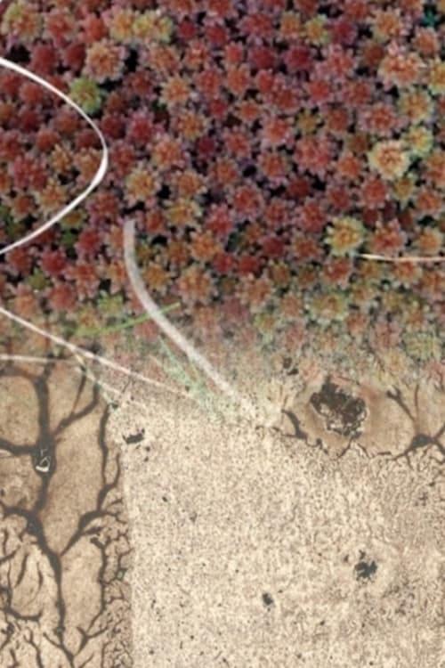 Mending the Blanket poster