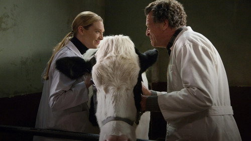 Fronteiras: 3×17