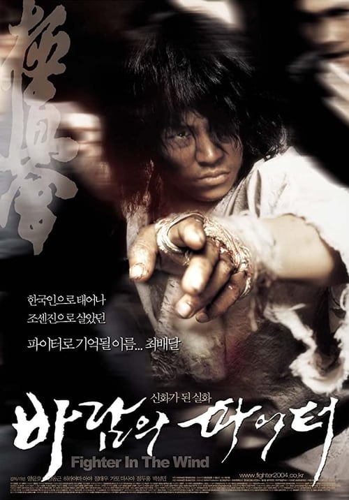 바람의 파이터 (2004) poster