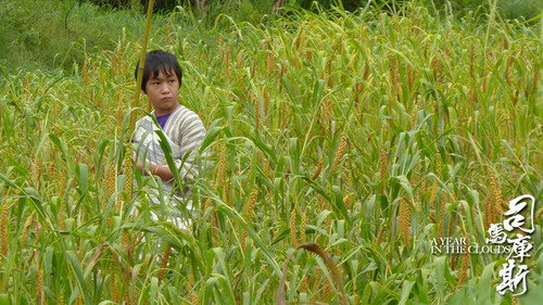 A Year in the Clouds