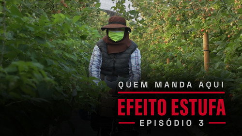 Folge 3