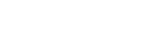 Daytime Revolution