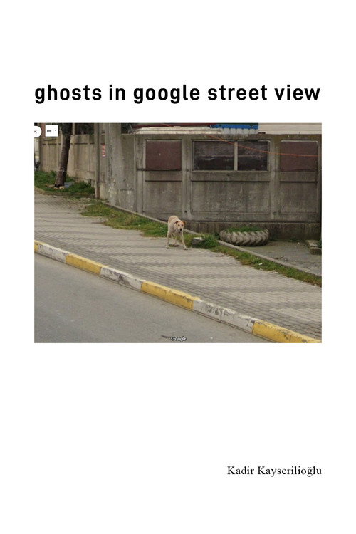 Ghosts In Google Street View