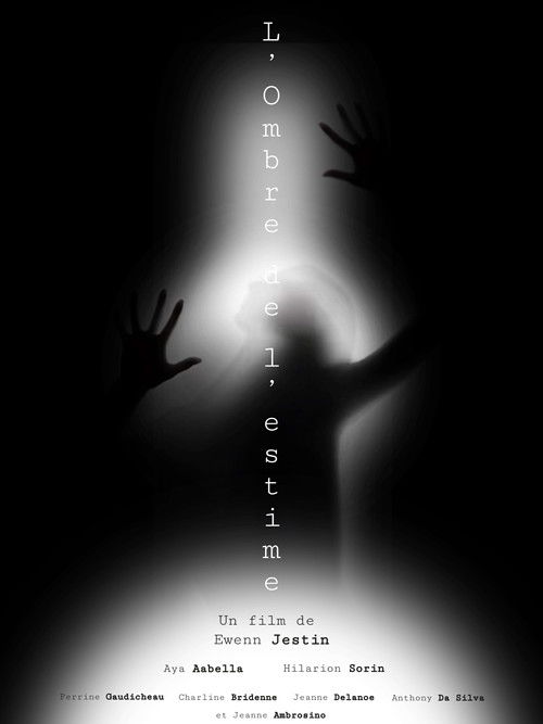 L'Ombre de l'estime film afişi