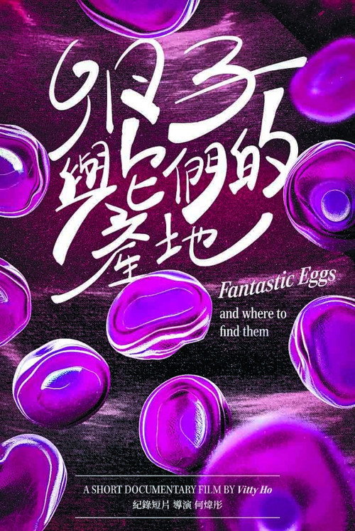 Fantastic Eggs and Where to Find Them