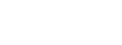 The Christmas Consultant